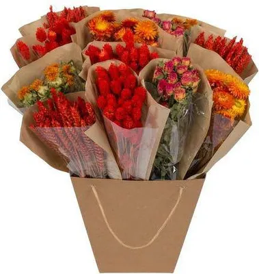 Produktbild von Getrocknete Blumen – Mono Mix – Orange – ↕50cm – Handgebundener Strauß – Langlebig & pflegeleicht – Dekoration & Geschenkidee