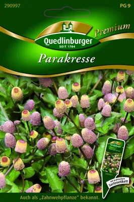 Produktbild von Quedlinburger Saatgut - Parakresse - Samen - 290997