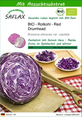 Produktbild von SAFLAX - BIO - Rotkohl - Red Drumhead - 250 Samen - Mit keimfreiem Anzuchtsubstrat - Brassica oleracea