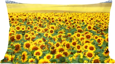 Produktbild von MuchoWow® Zierkissen Sofakissen Wohnzimmer Dekokissen 50x30 cm Sonnenblume - Blumen - Natur - Wohnzimmerdekoration - Polster mit Photo