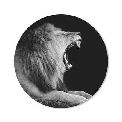 Produktbild von MuchoWow® Mauspad Mousepad Löwe - Wildtiere - Gras - Schwarz - Weiß 40x40 cm - Mousepads - Maus Mat - Pad - Mausunterlage - Schreibtisch Accessoires