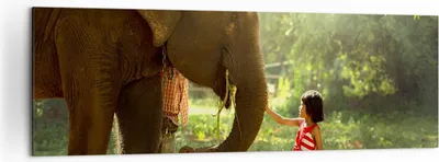 Produktbild von Bild auf Leinwand - Leinwandbild - Elefant Tier - 160x50cm - Wand Bild - Wanddeko - Wandbilder - Leinwanddruck - Bilder - Kunstdruck - Wanddekoration - Leinwand bilder - Wandkunst - AB160x50-3884