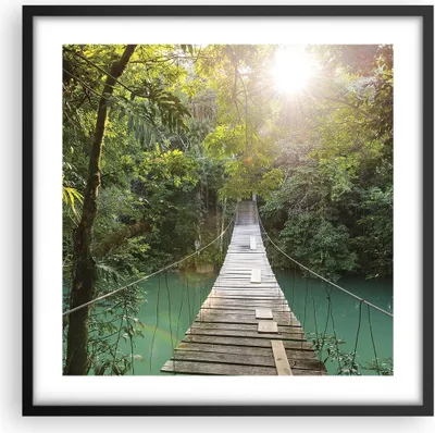 Produktbild von Gerahmtes Poster - Schwarzer Rahmen - Brücke Seil Dschungel - 50x50 cm - Wand Bild - Wanddeko - Wandbilder - Kunstposter - Wandposter - Bilderrahmen - Bilder - Kunstdruck - P2BAC50x50-4397