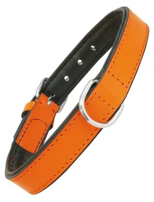 Obrázek produktu pro Obojek pro psy Gloria s oranžovým polstrováním (40 x 2 cm)