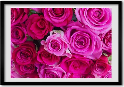Produktbild von Bild - Bilderrahmen - 100 cm x 70 cm - MDF - Rahmen - Foto - Wandkunst Ein Strauß rosa Rosen