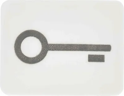 Produktbild von Jung 33 T WW Tastersymbol Schlüssel alpinweiß WG800/WG600
