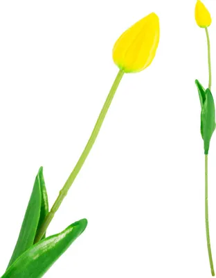 Obrázok produktu pre CV26799-4 UMELECKÝ TULIPÁN ŽLTÝ KRÁSNY AKO ŽIVÝ PIANO TULIPÁN Trstina