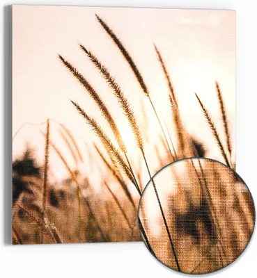 Produktbild von DEQORI Hybrid Leinwand Bild 30x30 cm 'Goldenes Abendgras' Wandbild Glas flach modern