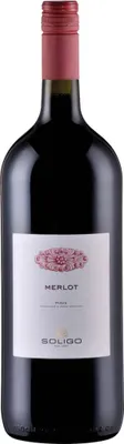 Produktbild von Merlot Piave DOC 2025 Venetien | Italien | 12,5% vol | 1 l