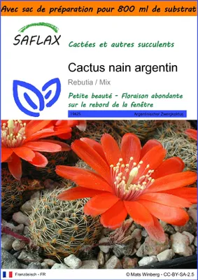 Image de SAFLAX Garden in the bag - Cactus nain argentin - 40 graines - Rebutia