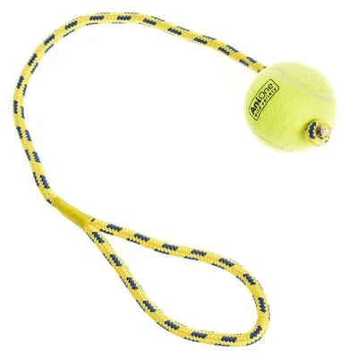 Image de AniOne Balle de tennis avec corde
