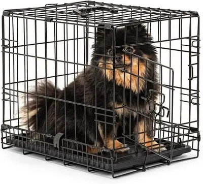 Productafbeelding van Hondenkooi - Transportbox - Veilig Vervoer - Inclusief Scheidingswand - 45x31x36 cm - Zwart