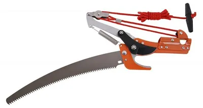 Productafbeelding van Levior rups met zaag, 30 cm, met beschermhuls