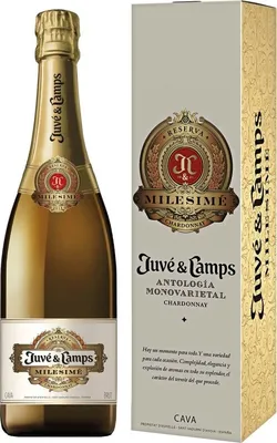 Produktbild von Juve y Camps Milesime Estuchado Schaumwein Spanien Schaumwein 75.00 cl 12.0 %