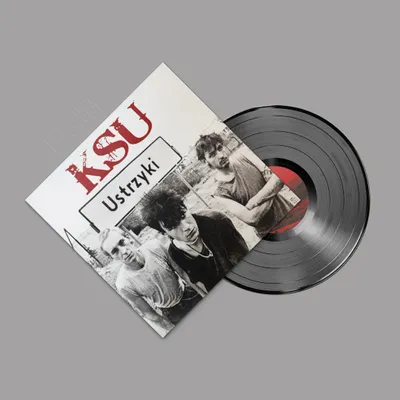 Zdjęcie produktu dla ++ KSU Ustrzyki LP GATEFOLD