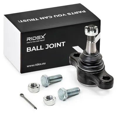 Produktbild von RIDEX Traggelenk Vorne Unten für HYUNDAI SONATA V (NF) 2462S0306