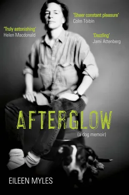 Zdjęcie produktu dla Afterglow