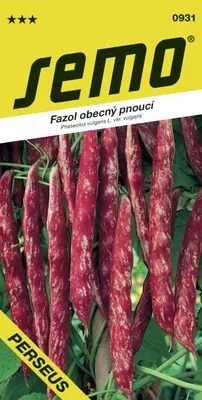 Produktbild von Samen - BOHNE ´PERSEUS´ 7 g