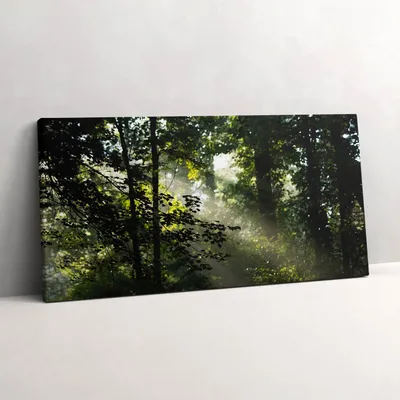 Produktbild von Sonnenstrahlen und Bäume – Leinwandbild Wandbild – 120x60 cm – Leinwandbilder – Wandbilder – Schlafzimmer – Flur