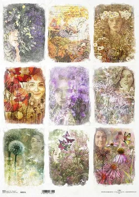 Produktbild von ITD Reispapier Decoupage Bastelpapier A3  Gesicht der Frau, Blumen Kräuterkundler 921L