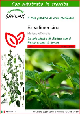 Immagine prodotto di SAFLAX  - Erba limoncina - 150 semi - Con substrato - Melissa