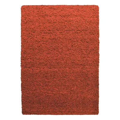 Produktbild von Hochflor Teppich LIFE Terrakotta 120 cm x 170 cm