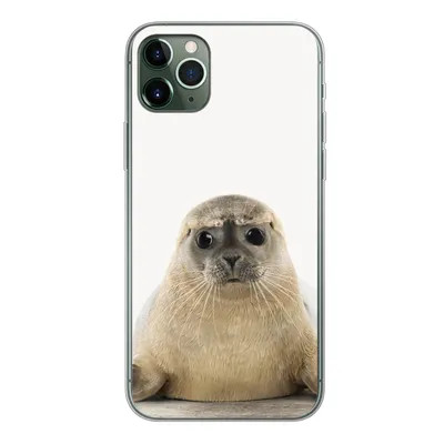 Produktbild von MuchoWow® Handyhülle Schutzhülle Hülle für iPhone 11 Pro Max Robbe - Tiere - Kinder - Jungen - Mädchen - Kinder Silikon Softcase Handy Hülle - Schutz
