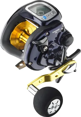 Produktbild von DAIWA TANASENSOR, 500, Rechtshand, Multi Angelrolle, Sternbremse, 10815-501