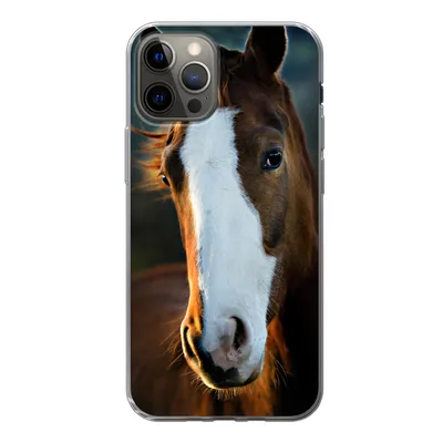 Produktbild von MuchoWow® Handyhülle Schutzhülle Hülle für iPhone 13 Pro Pferd - Kopf - Licht Silikon Softcase Handy Hülle - Handy-Tasche