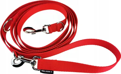 Immagine prodotto di VERSTELLBARE HUNDELEINE 250 cm/2,5 cm STARKER CARABINIERE