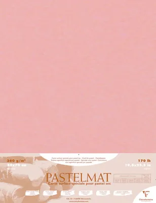 Zdjęcie produktu dla Clairefontaine PastelMat, Papier artystyczny, 360 g/m², 5 ark.