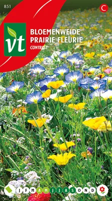 Produktbild von Blumenwiese Kontrast Samen - Ca. 2.5 gr | VT_851