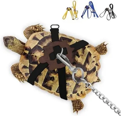 Produktbild von Schildkröten-Geschirr aus Leder – Kleines verstellbares Geschirr mit Leine, geeignet für Landschildkröten – Kontrolle & Sicherheit (Größe S, Schwarz)