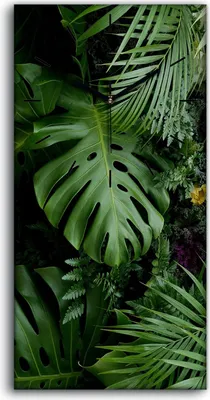 Produktbild von Wohnzimmer-Bild Leinwand Uhr Geräuschlos 30x60 Tropische Dschungel Blätter - schwarze Hände