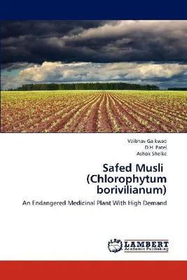 Produktbild von Safed Musli (Chlorophytum borivilianum)