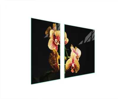Produktbild von Herdabdeckplatten 2 teilig 90x52 Glaskeramikkochfeld Abdeckung Glas Schneidebrett Orchidee Schwarz