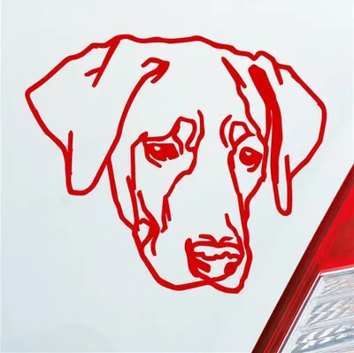 Produktbild von Auto Aufkleber Labrador Labi Labbi Hund Dog 12x10 cm Rot Sticker Heckscheibenaufkleber