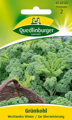 Produktbild von Grünkohl 'Westlandse Winter' Quedlinburger Gemüsesamen