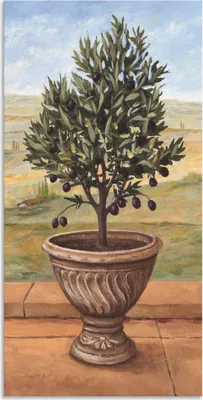 Produktbild von ARTland Wandbild Alu für Innen & Outdoor Olivenbaum Größe: 75x150 cm