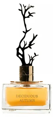 Produktbild von Deciduous Autumn Eau De Parfum für Frauen 100 ml