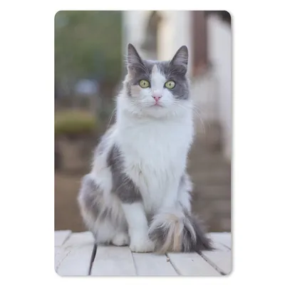 Produktbild von MuchoWow® Mauspad Mousepad Katze - Porträt - Tisch - Mädchen - Kinder - Jungen 40x60 cm - Mousepads - Maus Mat - Pad - Mausunterlage - Schreibtisch Accesoire