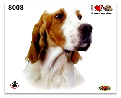 Image de Sticker Setter 14 x 16 cm
