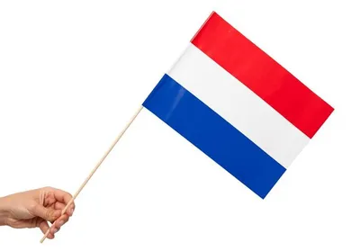 Produktbild von 10 Papier Fahnen Niederlande Holland 20 x 30 cm Handfahnen