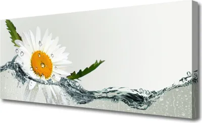 Produktbild von Tulup Leinwand-Bilder 125x50 Wandbild Canvas Kunstdruck Gänseblümchen Wasser Kunst
