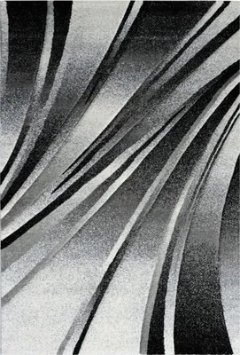 Produktbild von Teppich Trend schwarz, 120 x 170 cm