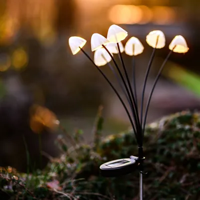 Mushroom-shaped solar lights in a garden setting at dusk.