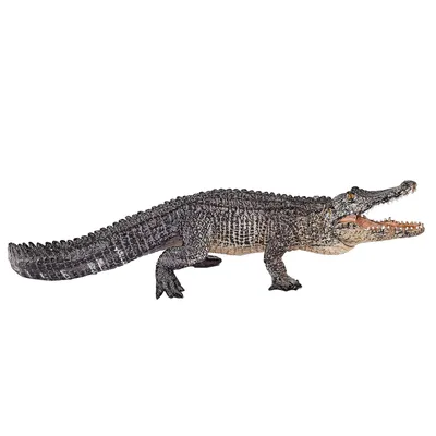 Image de Alligator Mojo Wildlife avec mâchoire mobile - 387168