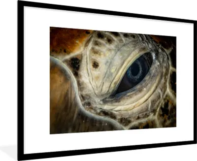 Produktbild von MuchoWow® MuchoWow® Gerahmtes Poster Nahaufnahme Hawksbill-Auge 90x60 cm - Poster mit zchwarzem Bilderrahmen - Wanddekoration - Fotos