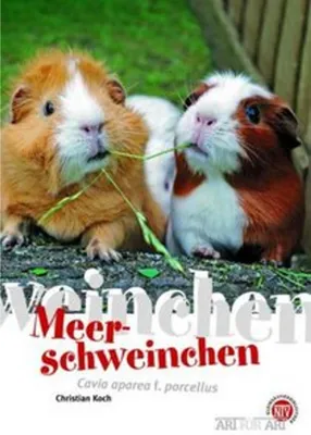 Produktbild von Meerschweinchen