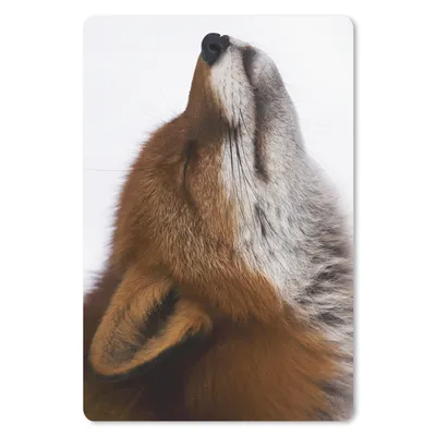 Produktbild von MuchoWow® Mauspad Mousepad Fuchs - Nase - Weiß 18x27 cm - Mousepads - Maus Mat - Pad - Mausunterlage